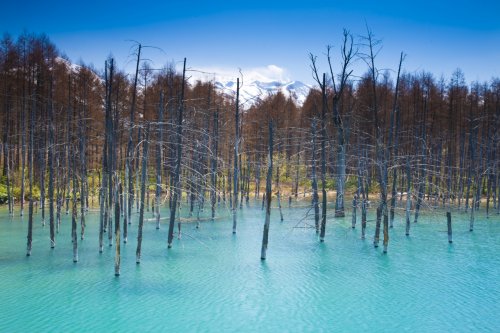 image represent Japan’s Northern Frontier and it's landscape